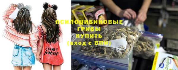 стаф Алексеевка