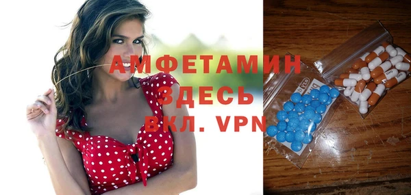 молекула духа Няндома