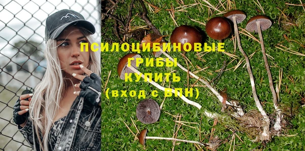 таблы Алексин